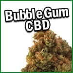 cogollos bubble gum CBD