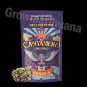 amnesia cbd canyamero